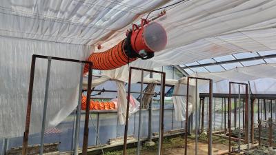カーネーションハウスに設置された外気導入装置