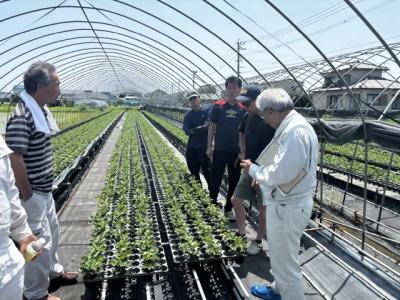育苗状況を聞き取る普及指導員