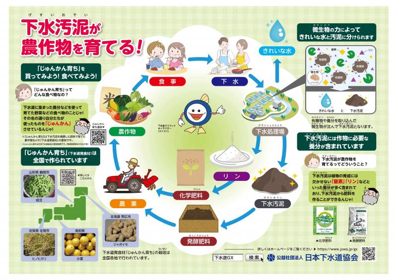 じゅんかん育ち(下水汚泥_肥料利用)