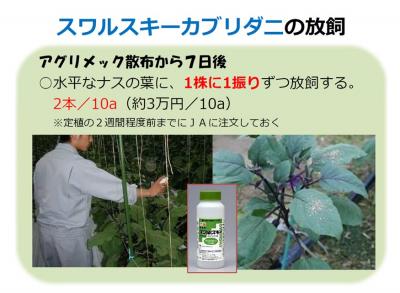 天敵導入についての講義資料
