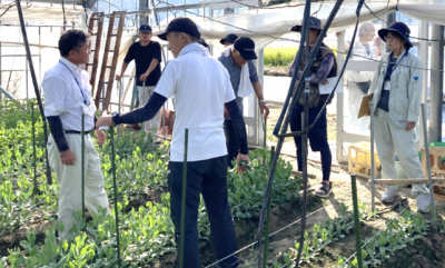 新規者交流研修会の様子