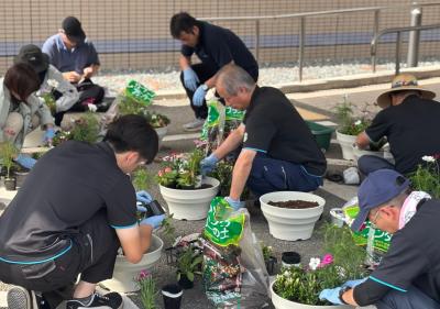 育成協花き部会員で寄せ植えを作成している様子