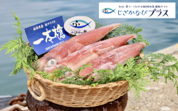 じざかなびプラス